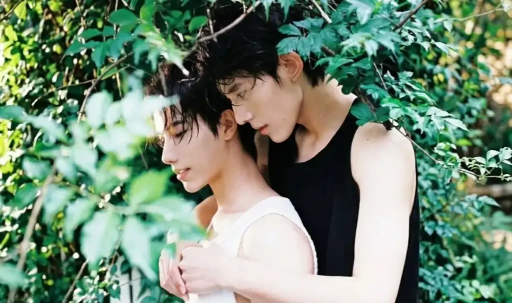 new chinese omegaverse bl couple or not